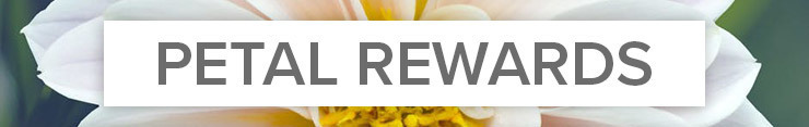 Petal Rewards