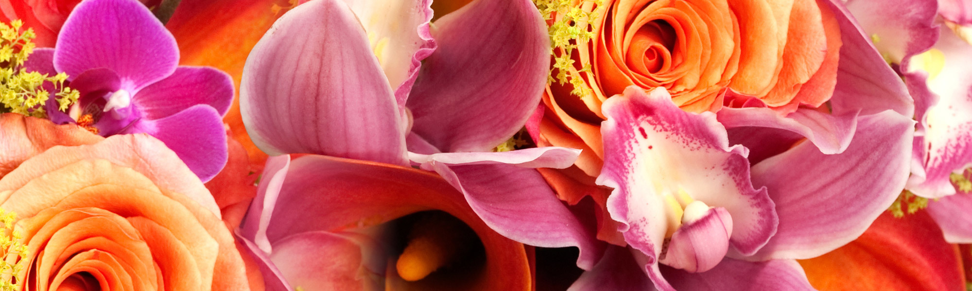 Norton's Florist Flower Delivery Birmingham, AL Florist Voted Best