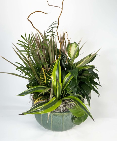 Small Dish Garden - 10