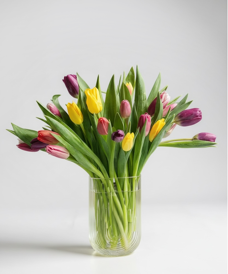 Mixed Tulips