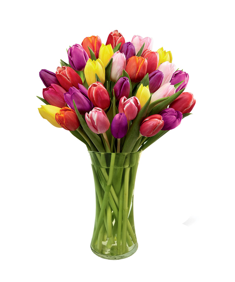 Mixed Tulips