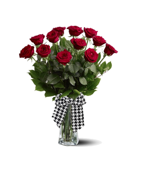 Crimson Tide Long Stem Roses