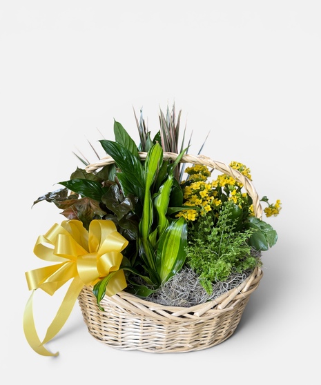 Garden Basket