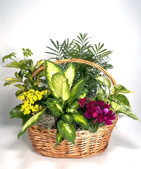 Basket of Joy