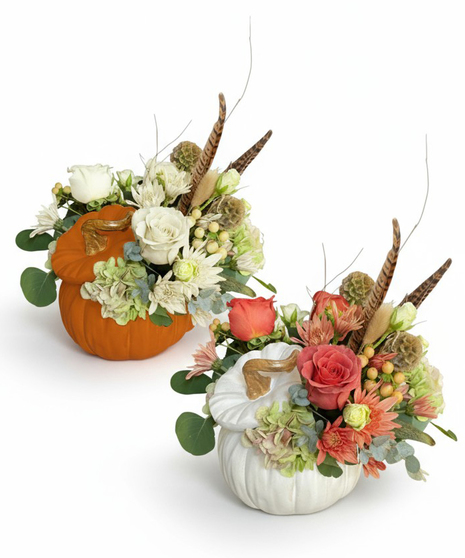 Enchanted Pumpkin - Choose between our Orange or White Pumpkin!