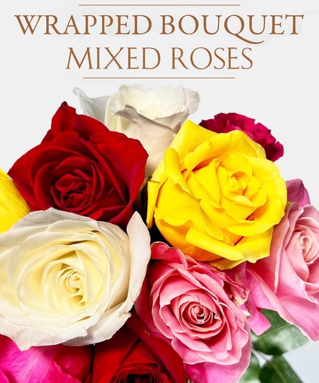 Wrapped Bouquet - Mixed Roses
