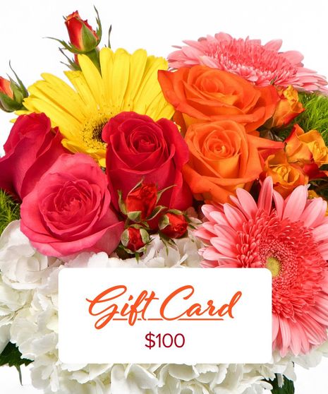 $100 Gift Card