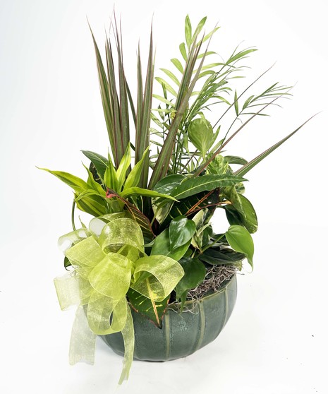 Handbasket filled with gorgeous green plants. 