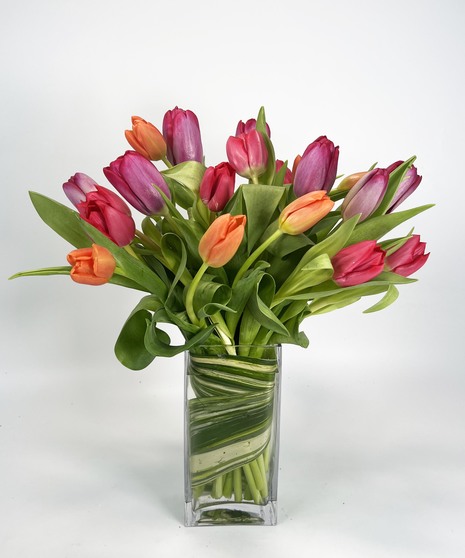 Mother's Day Tulips - 20 Tulips