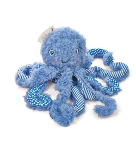 Ocho the Octopus