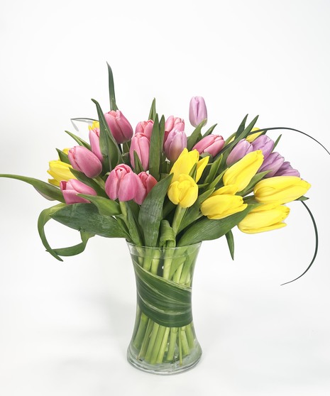 Mixed Tulips