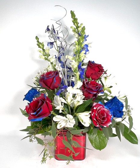 Stars and Stripes Splendor