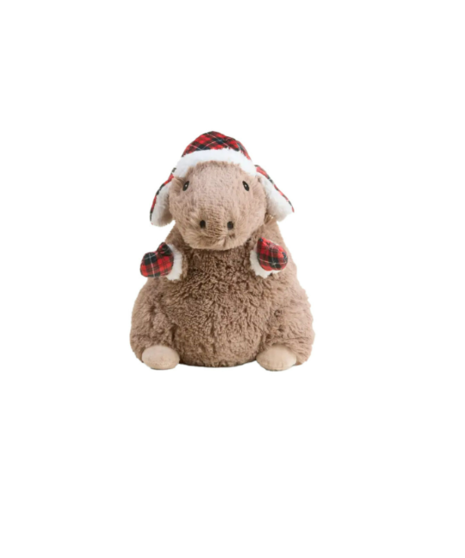 Cozy Capybara Warmie