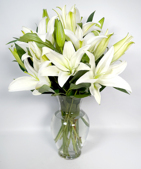 Casablanca Lily Surprise