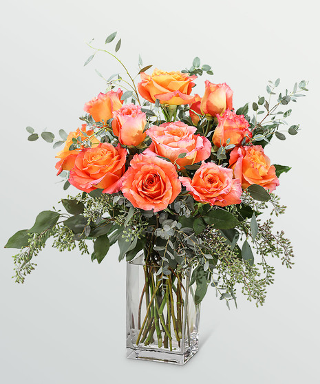 Free Spirit Roses