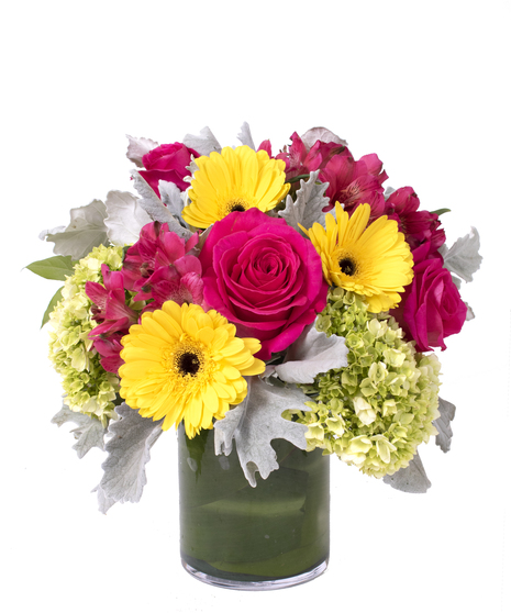 Hot pink roses and alstroemeria, yellow gerbera daisies and hydrangea, and dusty miller in a leaf-wrapped cylinder vase.
