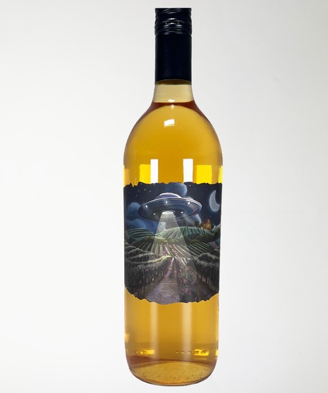 Grape Abduction - Orange