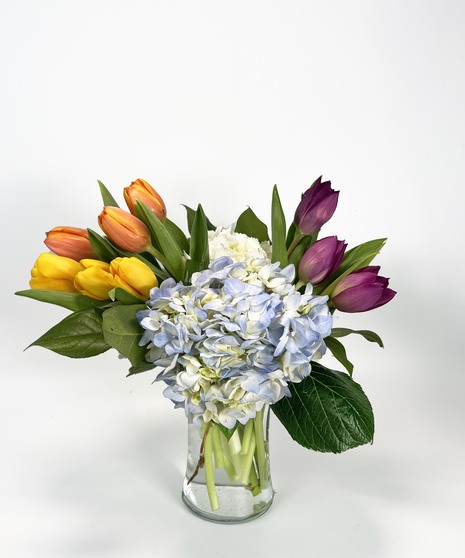 Tulip and Hydrangea Delight