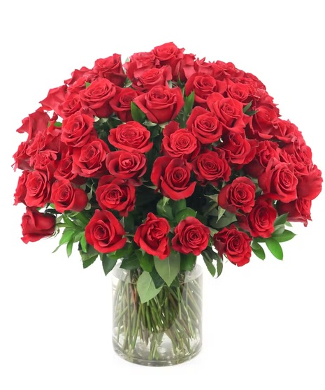 100 Red Roses