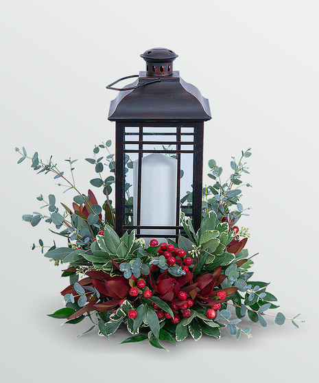 Light Through the Fog - Serene Sanctuary Collection