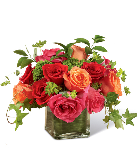 Hot pink, orange and red roses in a leaf-lined cube vase.