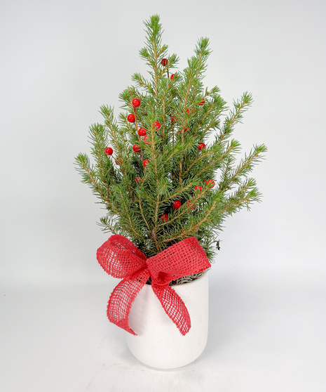 Desktop Holiday Tree - 2 Styles to Choose From