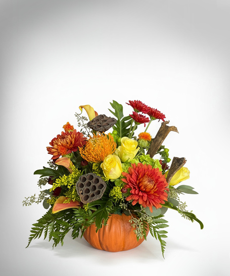 Fall Pumpkin