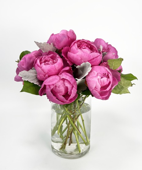 Peony Paradise