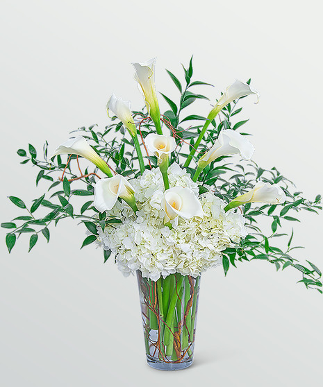 Porcelain Dream - Eternal Peace Collection