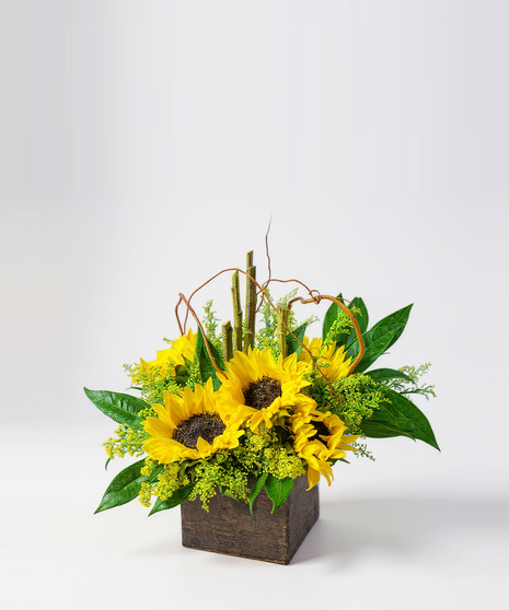 Sunflower Wonderland