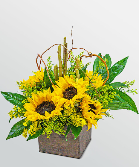 Sunflower Wonderland