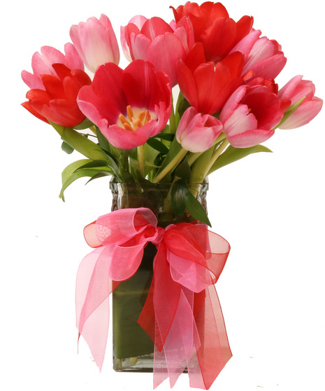 Valentine Tulips