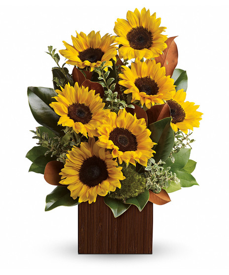 Sunflowers and greenery in a bamboo cube vase. 
